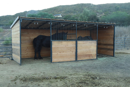 Double Portable Ranch Lodging Shelter W/ divider and 2 front windows