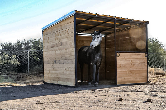 Single Lodging Shelter w/ 6ft window