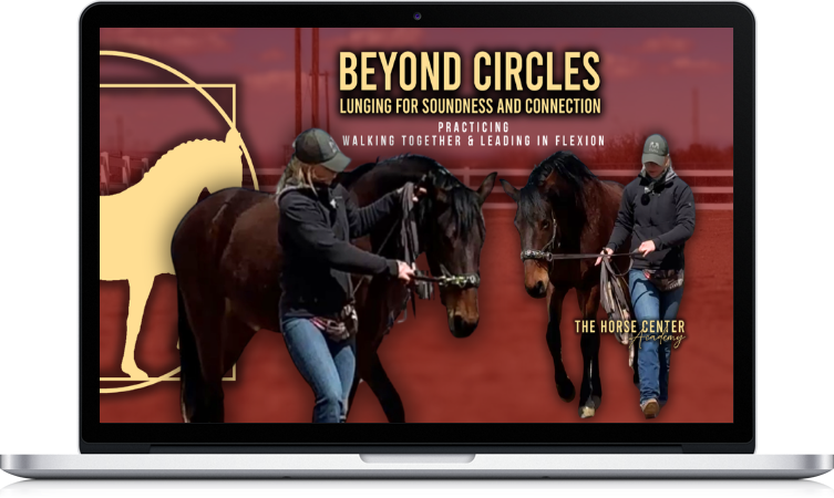 Groundwork & Lunging Course