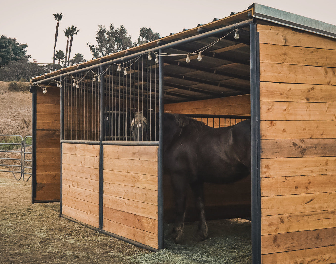 Double Portable Ranch Lodging Shelter W/ divider and 2 front windows