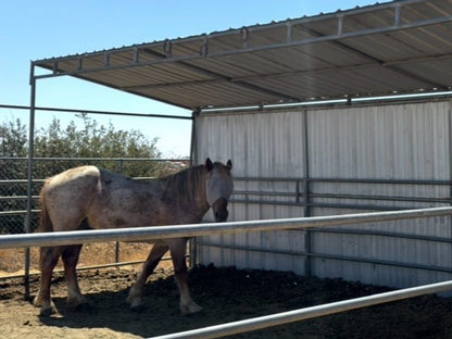 Three Sided Standard 8’ Horse & Livestock Shelters